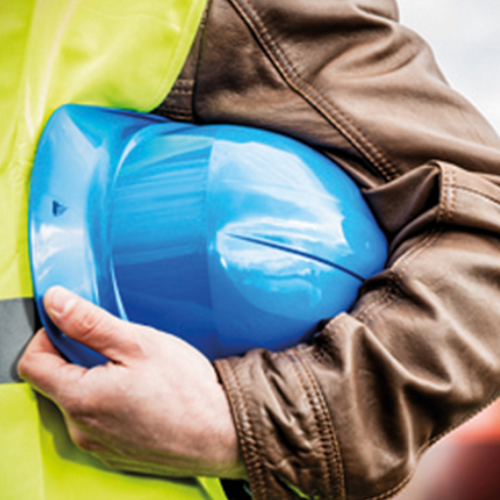 Image Delta Plus Head Protection